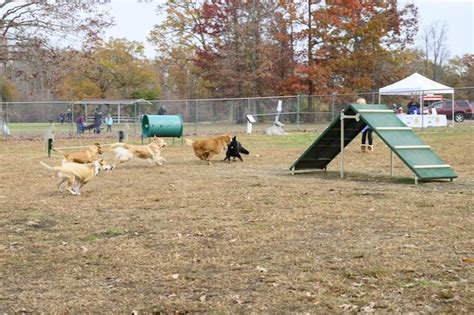 Dog Walking Trails Near Me: Where To Find The Perfect Dog Walking Trails