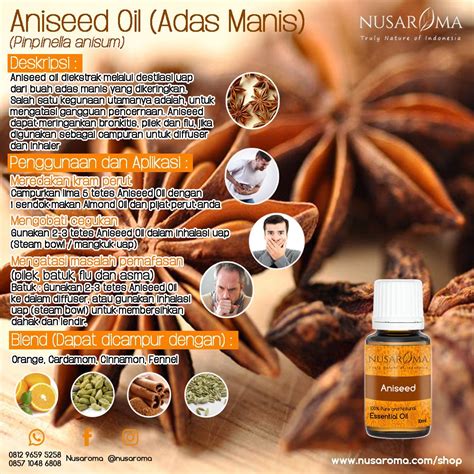 Aniseed Oil Application & Recipe | Buah, Adas, Manis