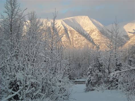 Wasilla in winter Alaskan Wedding, Wasilla, Snow, Views, Aesthetic ...