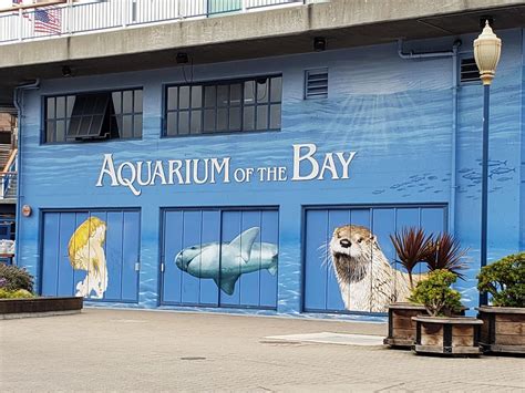 Aquarium of the Bay - Go Wandering