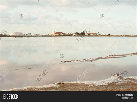 Salt Marsh Image & Photo (Free Trial) | Bigstock