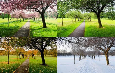 The Four Seasons Free Stock Photo - Public Domain Pictures