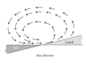 Geostrophic Wind: Formation, Wind Definition, And Feature - PWOnlyIAS