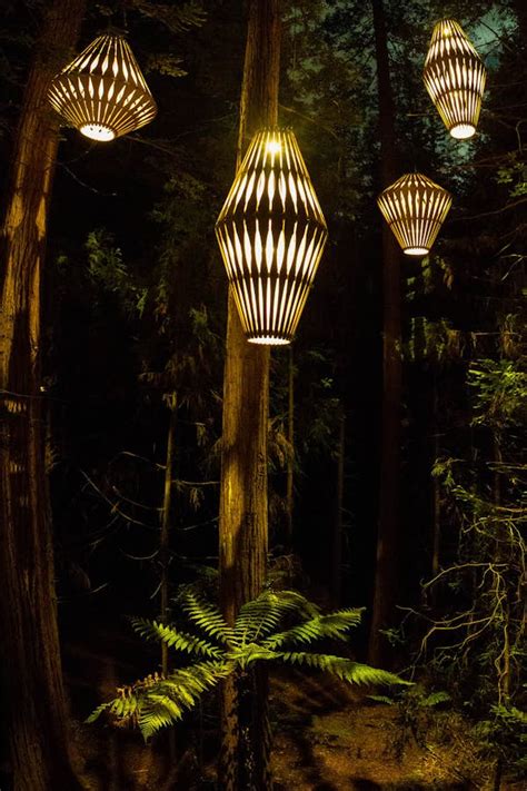 David Trubridge | Redwoods Treewalk Nightlights