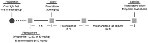 Schematic representation of drug regimen and scheduling. | Download ...