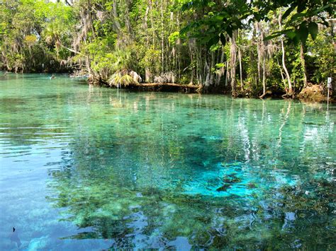 Crystal River, Florida - Alchetron, The Free Social Encyclopedia