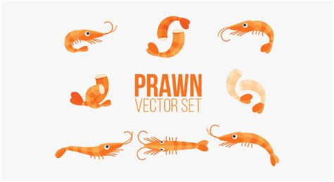 Cute Shrimp Vector Png, Transparent Png , Transparent Png Image - PNGitem