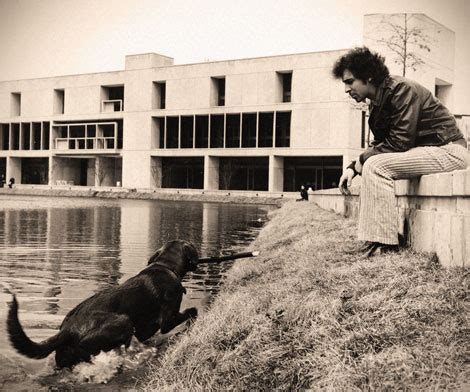 The True Story Of UMBC's Mascot, True Grit - UMBC: University Of ...