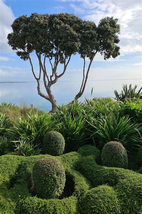 Paradise Landscapes by Paradise Landscapes | ArchiPro NZ