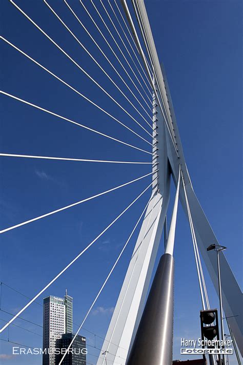 Erasmusbrug (Erasmus Bridge), Rotterdam, The Netherlands | ARCHITECTURE