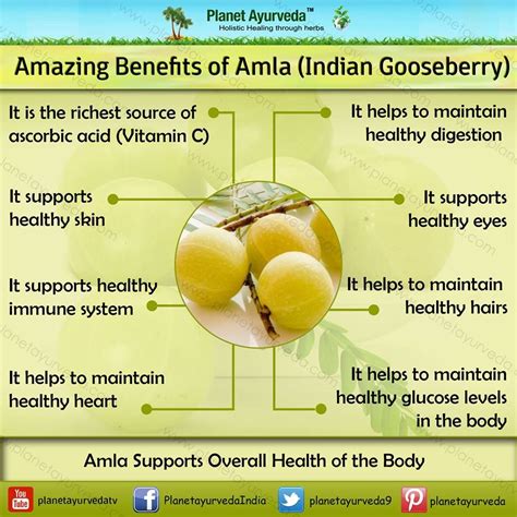 #Amla - The Powerhouse of Nutrients