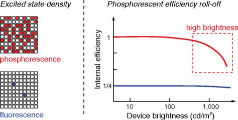 Left: The excited-state density in the cases of phosphorescence and... | Download Scientific Diagram