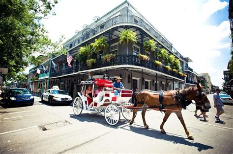 Hotel Royal New Orleans, New Orleans (updated prices 2024)