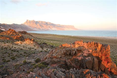 Socotra | Island, Map, & Facts | Britannica