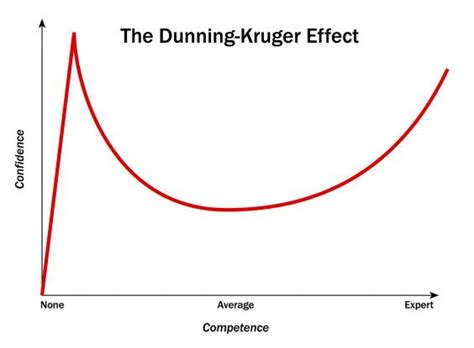 The Real Dunning-Kruger Graph | graph paper diaries