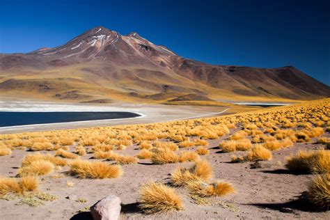 Laguna Miscanti - Lagoon in Chile | Wonderful places, Chile, Laguna