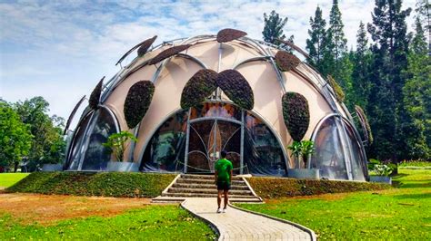 Jakarta Private Tour: Bogor Botanical Garden