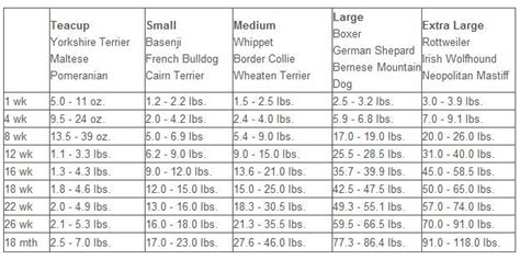 Boxer dog boxer puppy growth chart - neryks