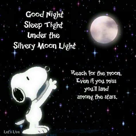 Good Night. Sleep tight under the silvery moonlight. Reach for the moon. Even if you miss, you ...