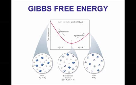 9.3 Gibbs Free Energy - YouTube