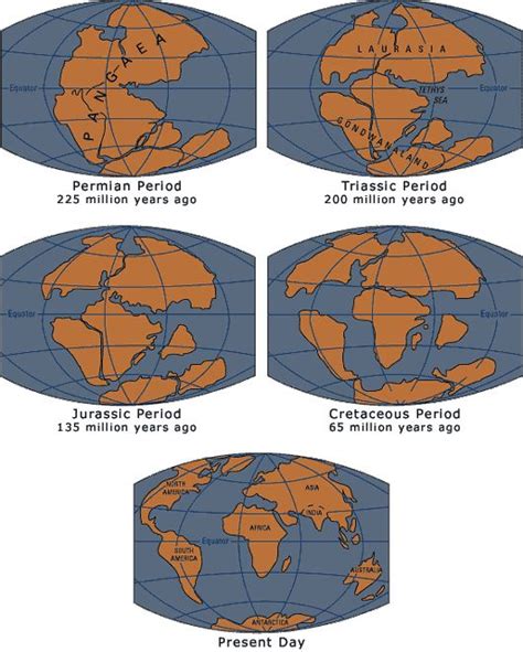 1000+ images about Science: Pangea on Pinterest | Posts, Picture show and Earth science