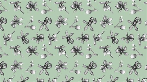 20 Sage Green Aesthetic Wallpaper Backgrounds (FREE)