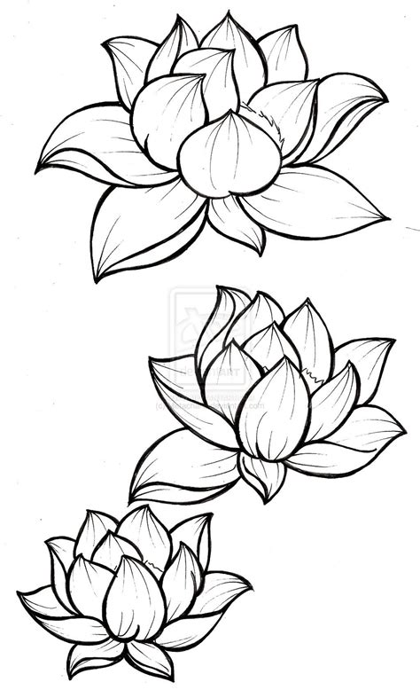 Lotus Blossom Tattoo by Metacharis on deviantART | Lotus blossom ...