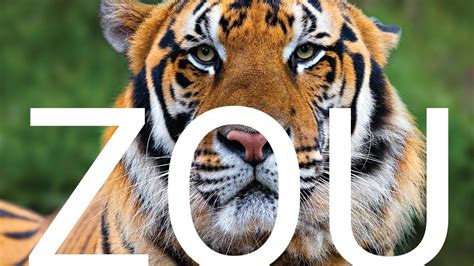 Petition · Columbia Demands a Zoo · Change.org