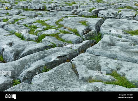 Limestone pavement glaciated karst landscape in The Burren, County Clare, Ireland Stock Photo ...