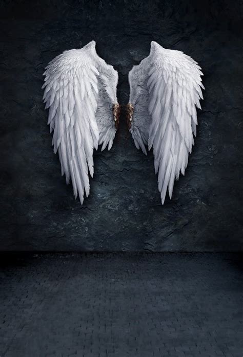 Buy AOFOTO 5x7ft Angel Wings Backdrop Grunge Wall Photography Background Fashion Youngster Kid ...