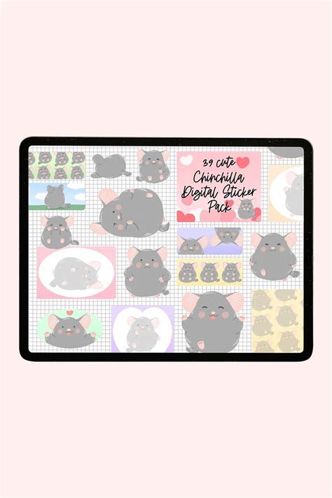 39 cute chinchilla digital sticker pack, Chinchilla printable sticker ...