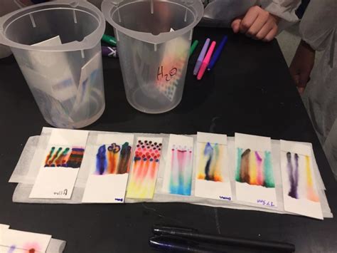 Chromatography Color Experiment For Kids