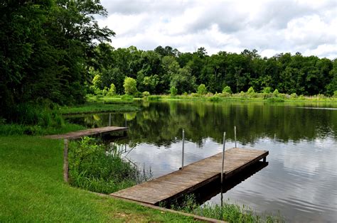 Roland Cooper State Park Cabins - Camden