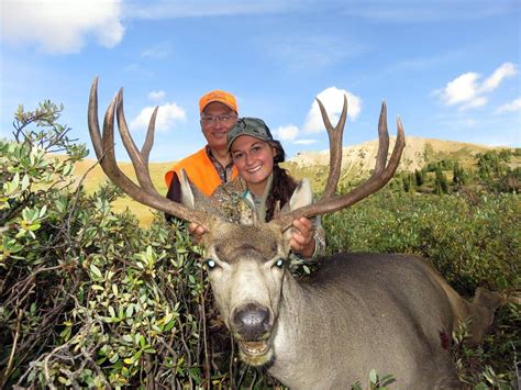 Guided Mule Deer Hunts Colorado | Mule Deer Hunting Outfitter Colorado ...