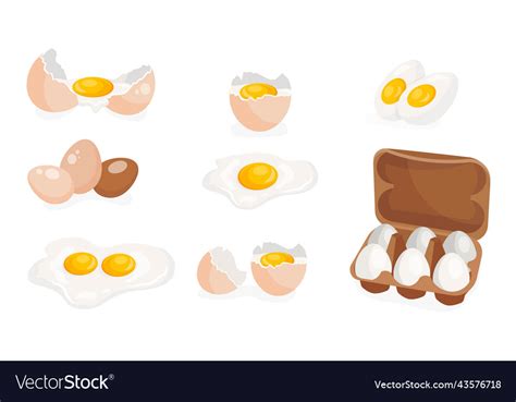 Chicken eggs set Royalty Free Vector Image - VectorStock