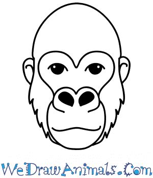 How to Draw a Gorilla Face