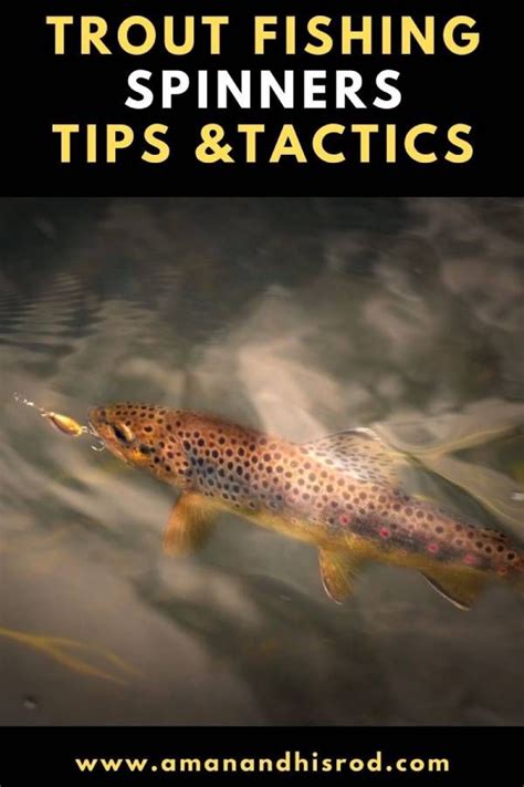 Trout Fishing Spinners Tips and Tricks