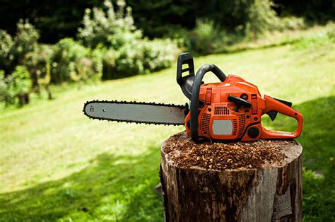 Royalty Free Chainsaw Pictures, Images and Stock Photos - iStock