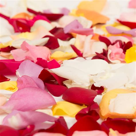 Rainbow Rose Petals - Approximately 3000 Units - Walmart.com - Walmart.com