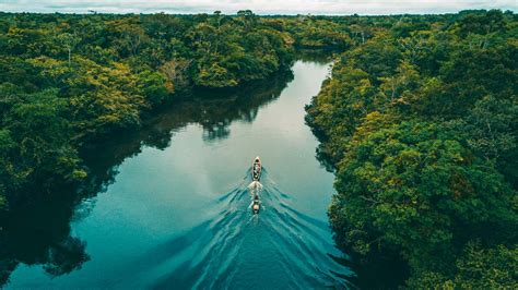 Stories From The Amazon: Exploring The Amazon River Basin In Peru ...