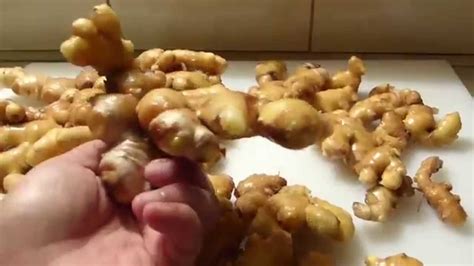 WHEN TO HARVEST GINGER - YouTube