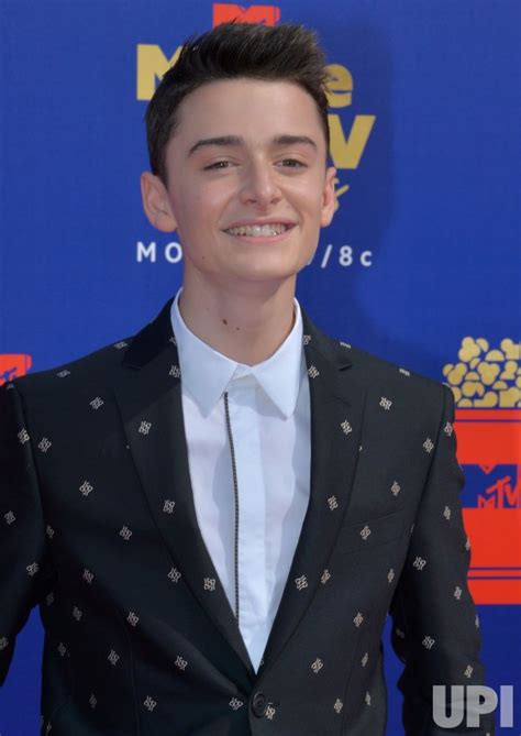 Photo: Noah Schnapp attends the MTV Movie & TV Awards in Santa Monica ...