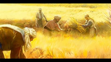 Parables with Dave Ep. 5 - Parable of the Wheat and Weeds Explained - Matthew Chapter 13 - YouTube