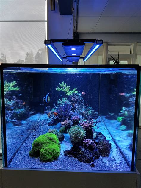 Orphek OR 120 Reef Bar LED Light Blue Sky Spectrum •Reef Aquarium LED Lighting•Orphek