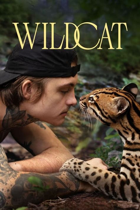 Wildcat (2022) — The Movie Database (TMDB)