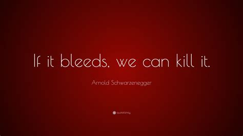 Arnold Schwarzenegger Quotes (100 wallpapers) - Quotefancy