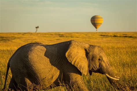 3 days—Masai Mara Safari Balloon