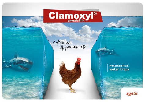 Clamoxyl on Behance