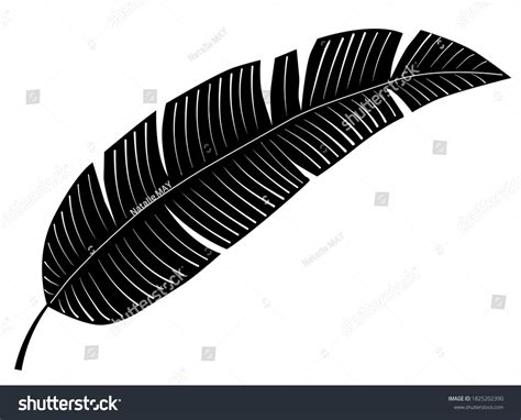 Banana Leaf Silhouette Isolated On White Stock Vector (Royalty Free ...