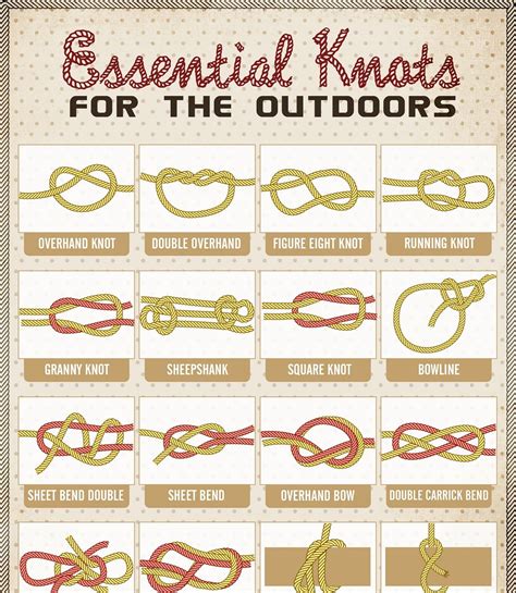 Essential Knots for the Outdoors | Knots, Camping knots, Knots guide